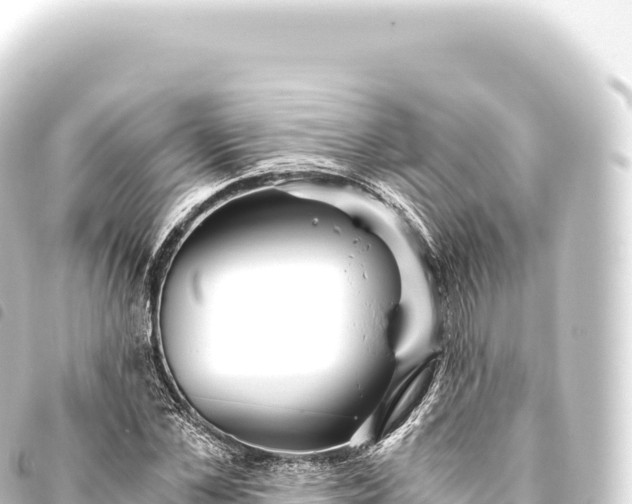 X0000093770973200710301202