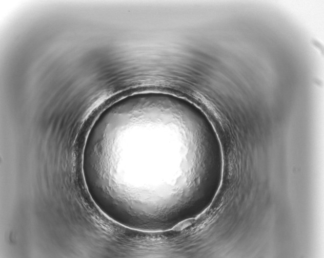 X0000093770975200710301202