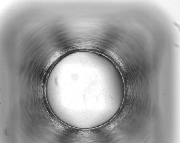 X0000093770978200710301202