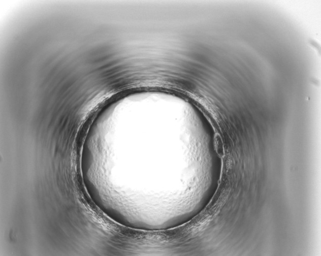 X0000093770979200710301202