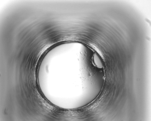 X0000093770980200710301202