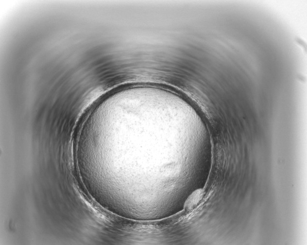 X0000093770982200710301202