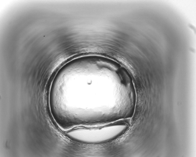 X0000093770983200710301202