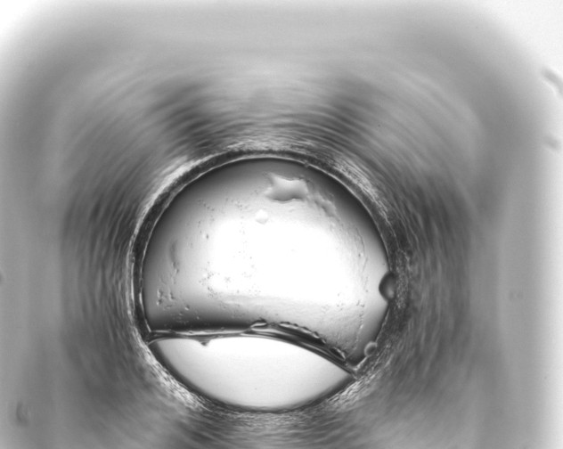 X0000093770984200710301202