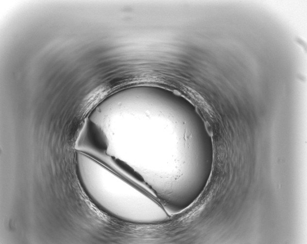 X0000093770985200710301202