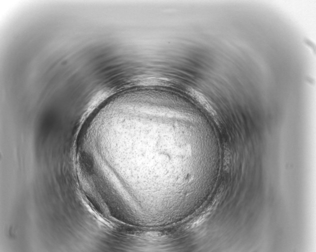 X0000093770986200710301202