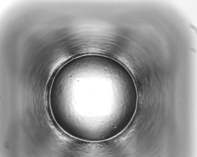 X0000093770987200710301202