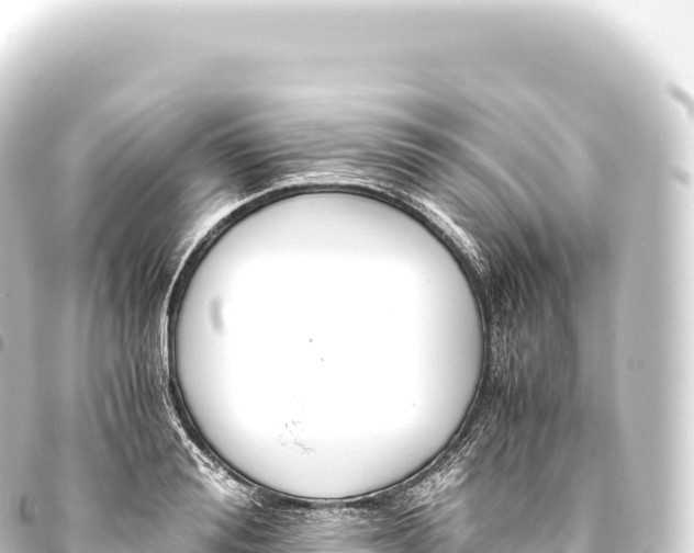 X0000093770988200710301202