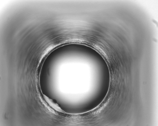 X0000093770989200710301202