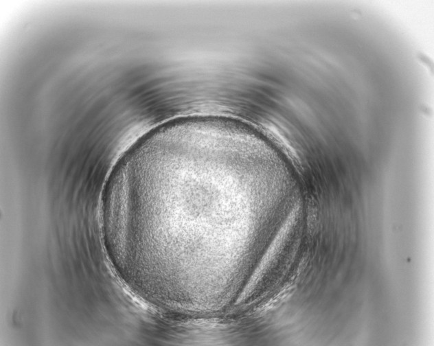 X0000093770990200710301202