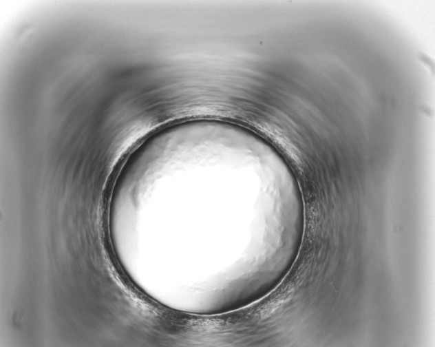 X0000093770991200710301202