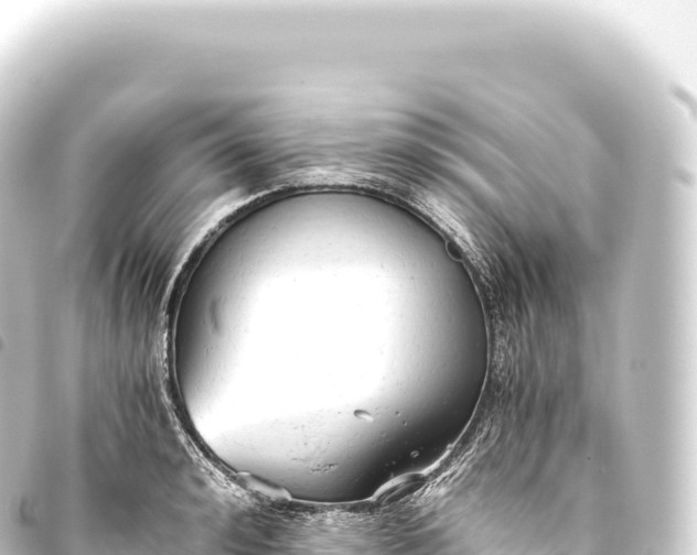 X0000093770992200710301202