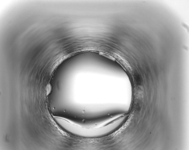 X0000093770993200710301202