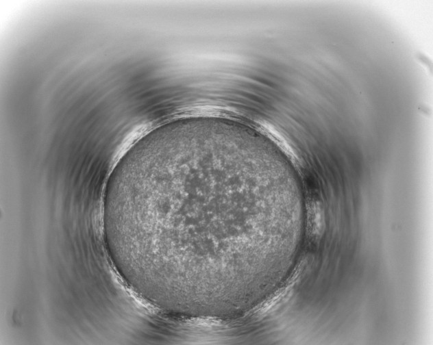 X0000093770994200710301202