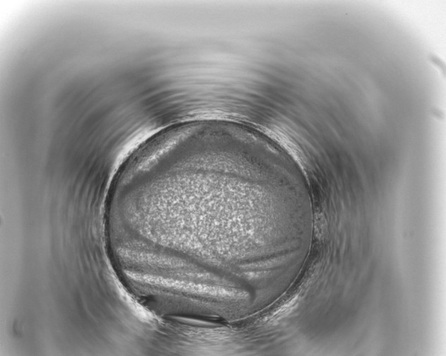 X0000093770995200710301202