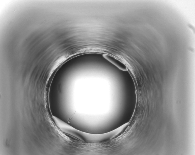 X0000093770997200710301202