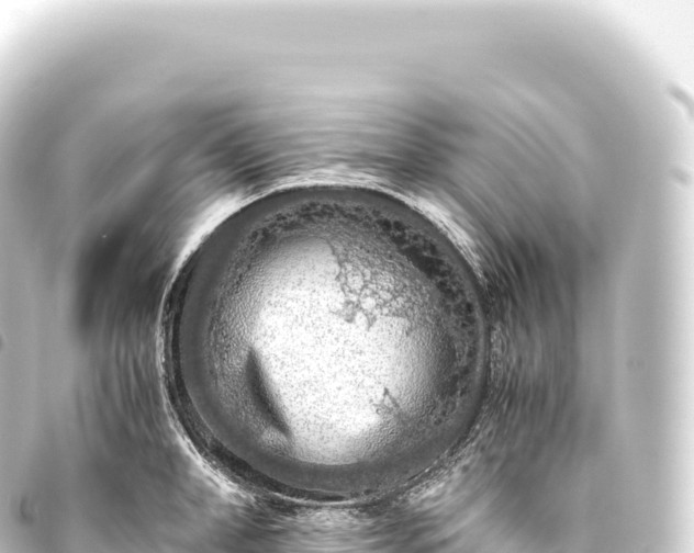 X0000093770998200710301202