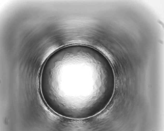 X0000093770999200710301202