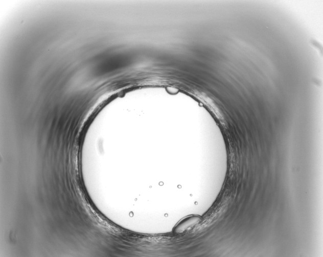 X0000093771000200710301202