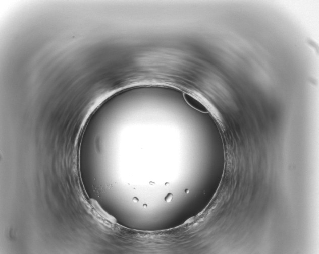 X0000093771004200710301201