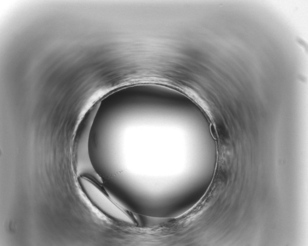 X0000093771005200710301201