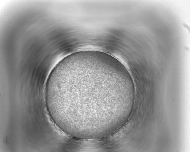 X0000093771008200710301201