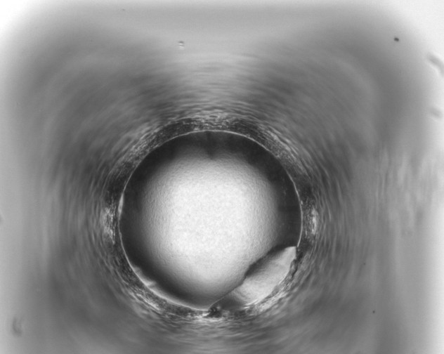 X0000093771010200710301201