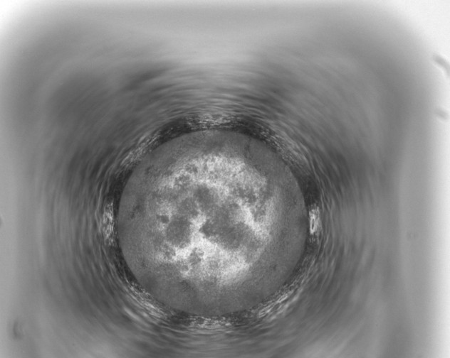 X0000093771011200710301201