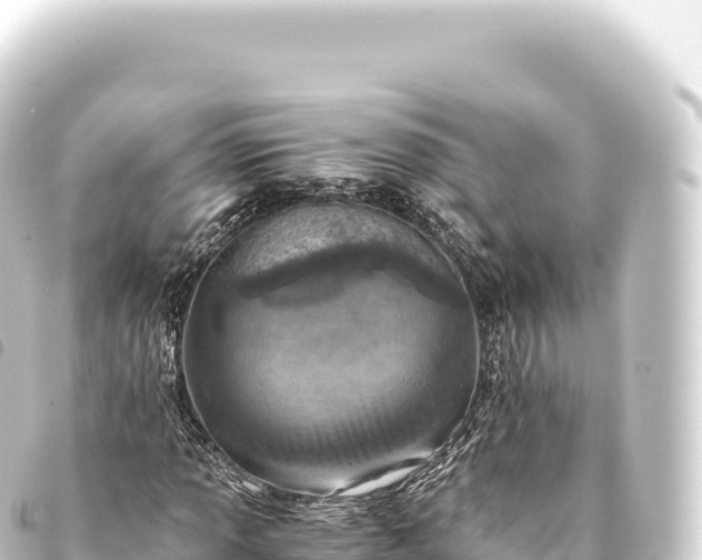 X0000093771013200710301201