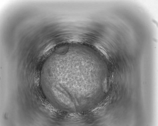 X0000093771015200710301201