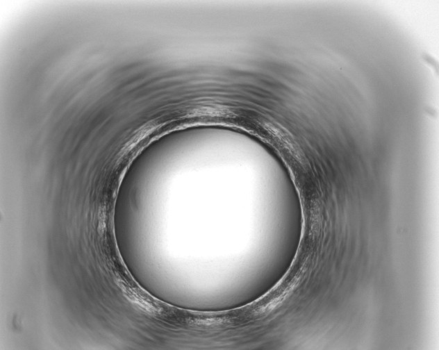 X0000093771017200710301201