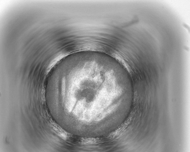 X0000093771019200710301201