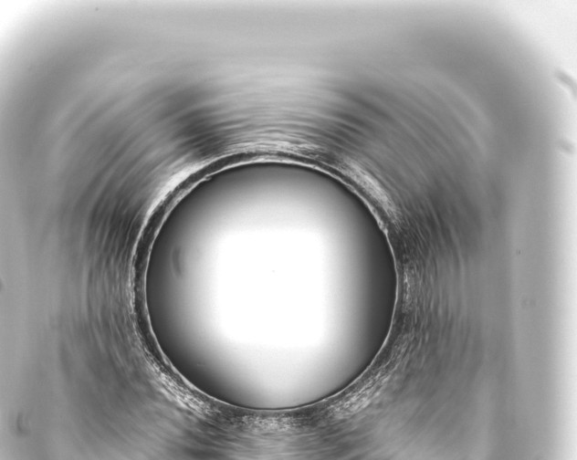 X0000093771020200710301201