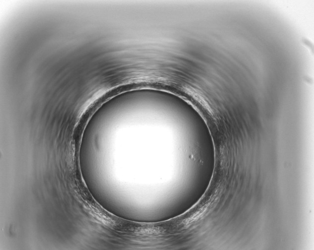 X0000093771021200710301201