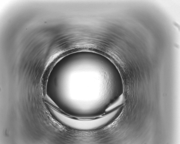 X0000093771022200710301201