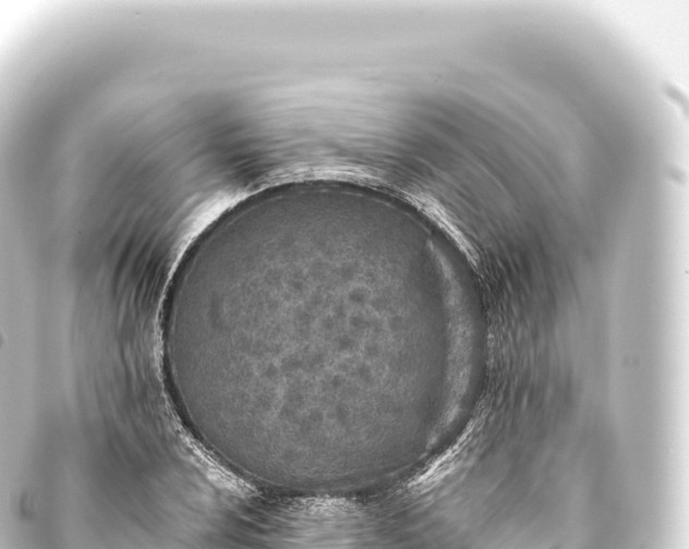 X0000093771024200710301201