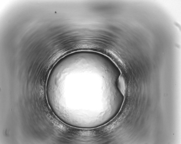 X0000093771025200710301201