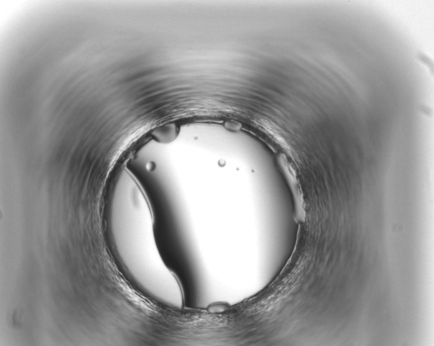 X0000093771026200710301201