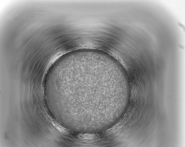 X0000093771027200710301201