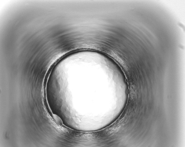 X0000093771028200710301201