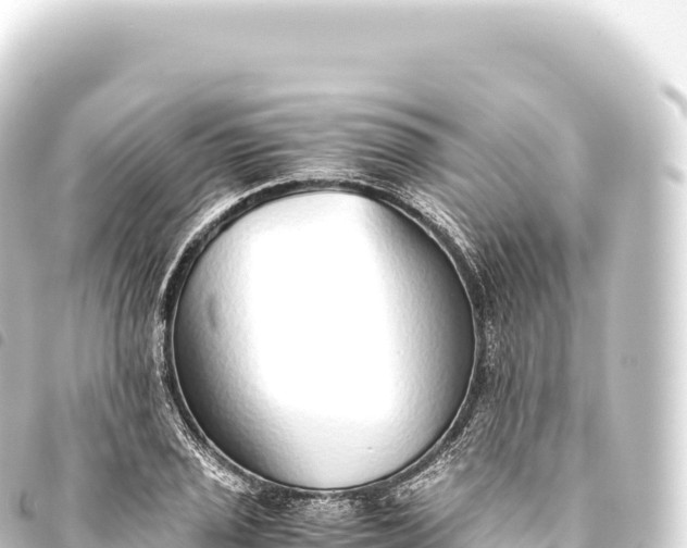 X0000093771029200710301201