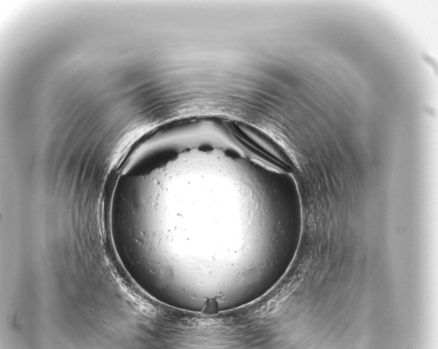 X0000093771030200710301201