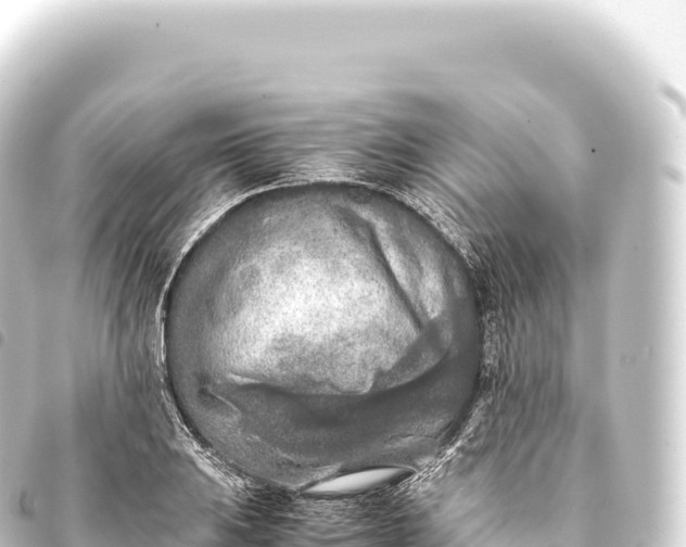 X0000093771031200710301201