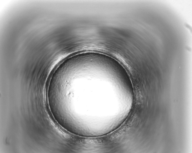 X0000093771032200710301201