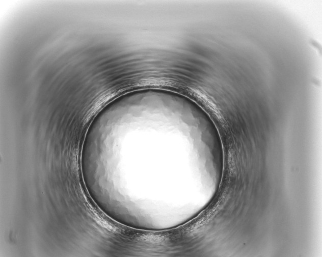 X0000093771033200710301201