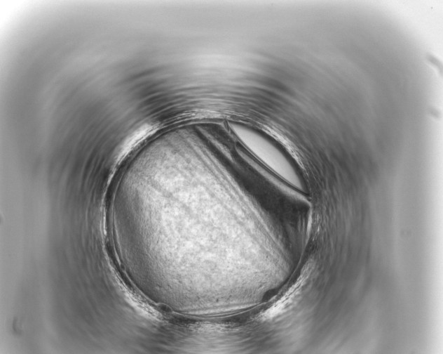 X0000093771034200710301201