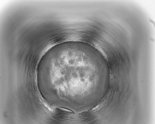 X0000093771035200710301201