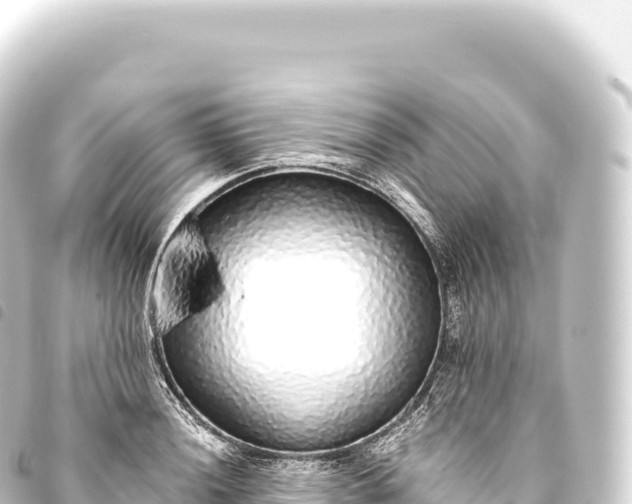 X0000093771036200710301201