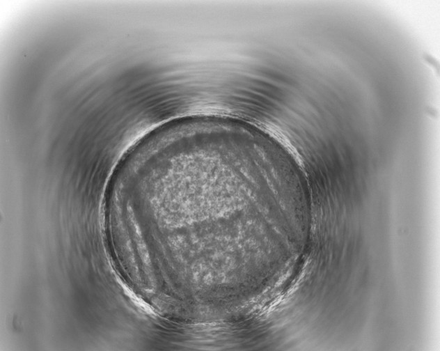 X0000093771037200710301201