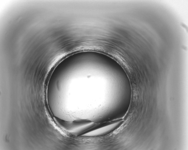 X0000093771038200710301201